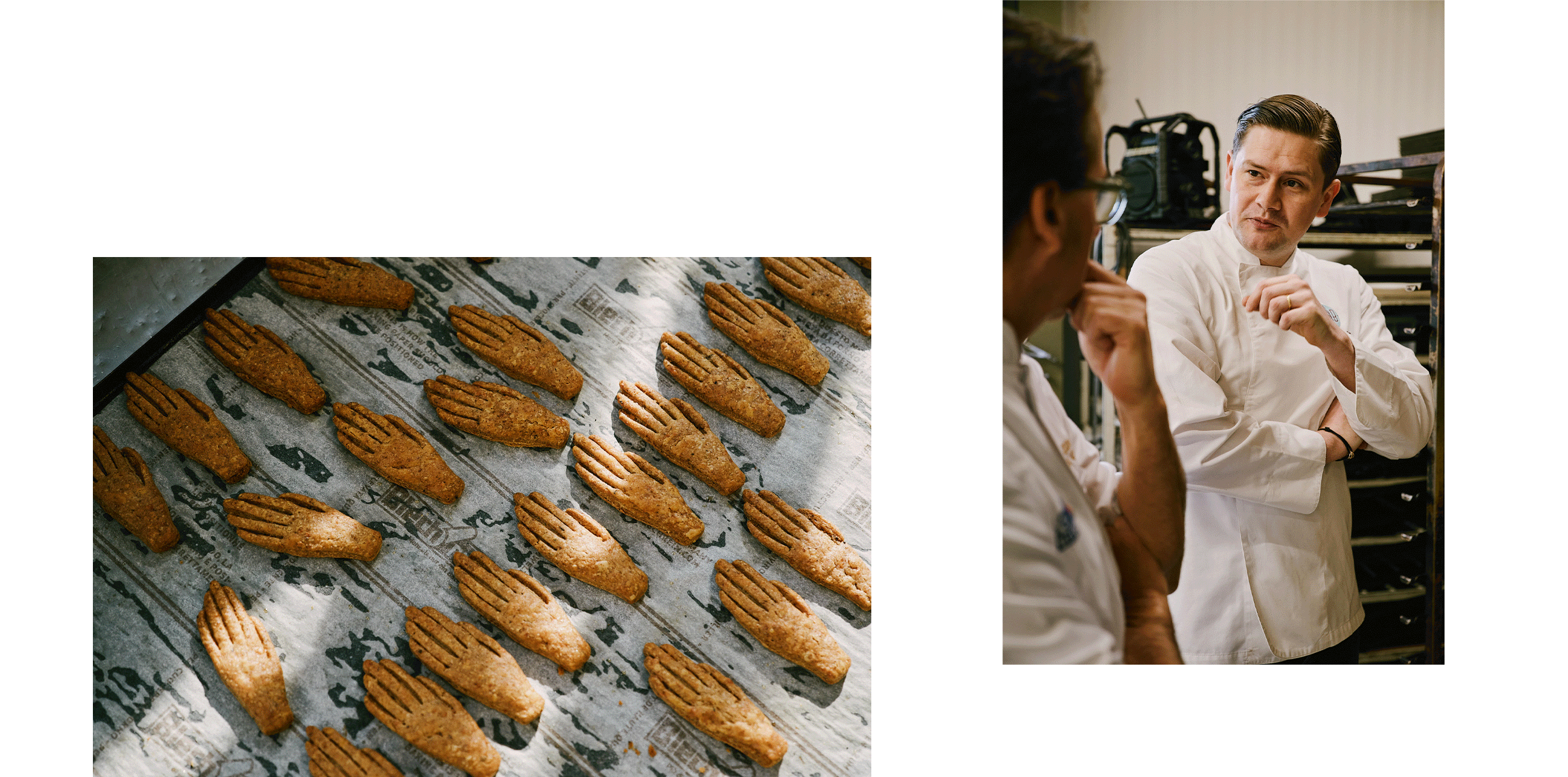 20251126 CHEESE BEELDEN GIF long